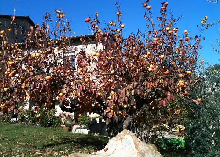 Podere FontecastelloAgriturismo